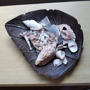 Leaf Tray And Natural Shells